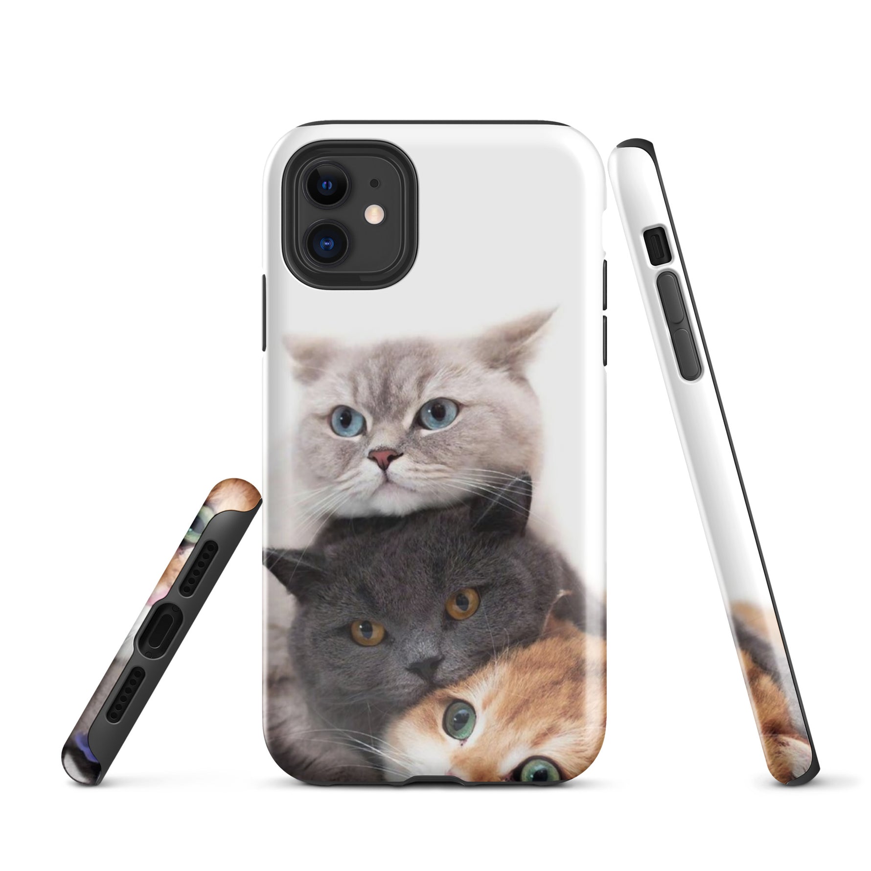 Chats Domestique Coque - Shodiva