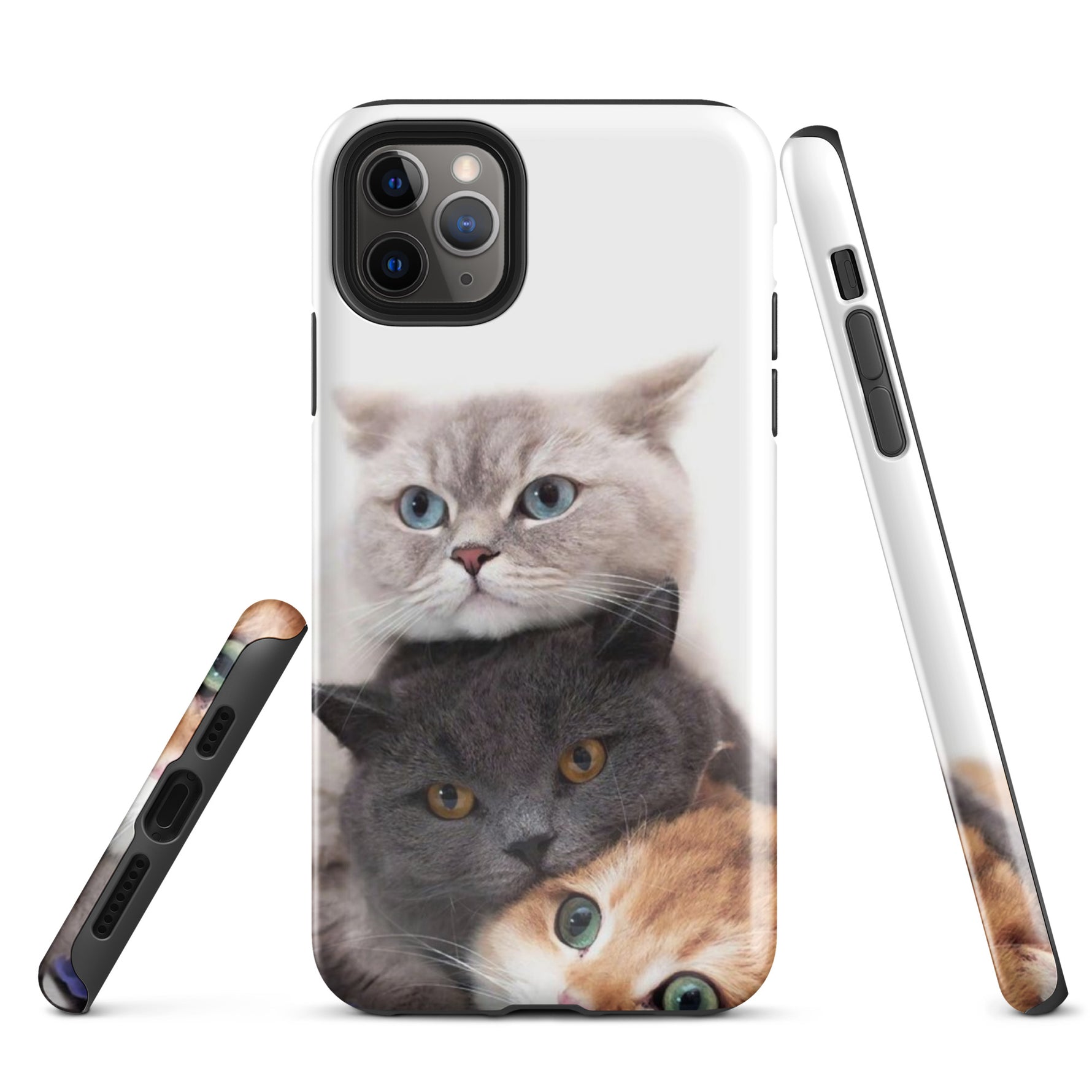 Chats Domestique Coque - Shodiva