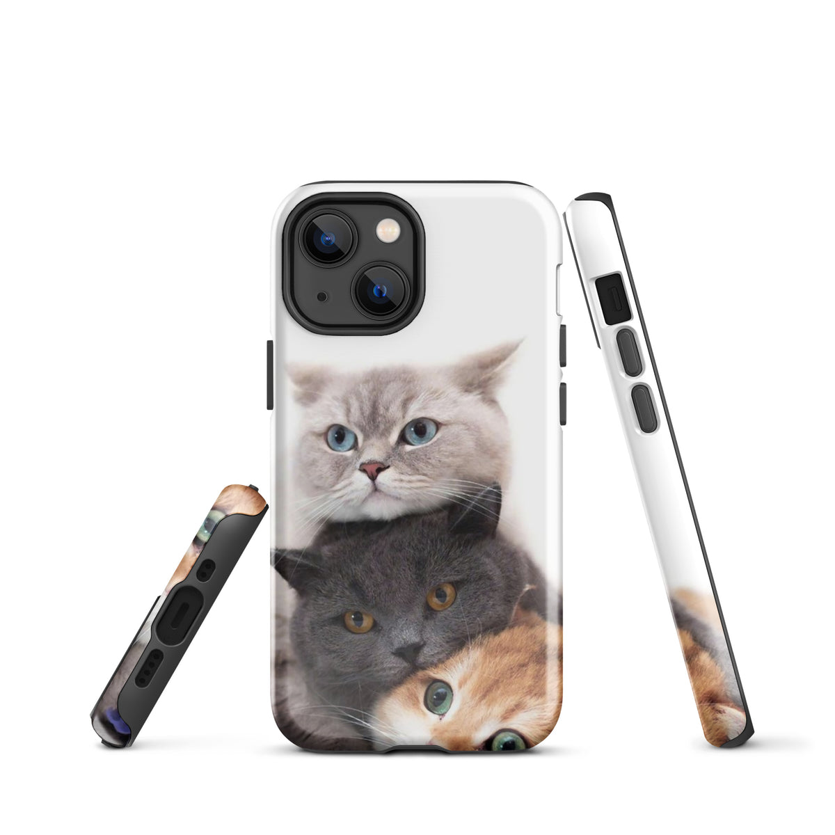 Chats Domestique Coque - Shodiva