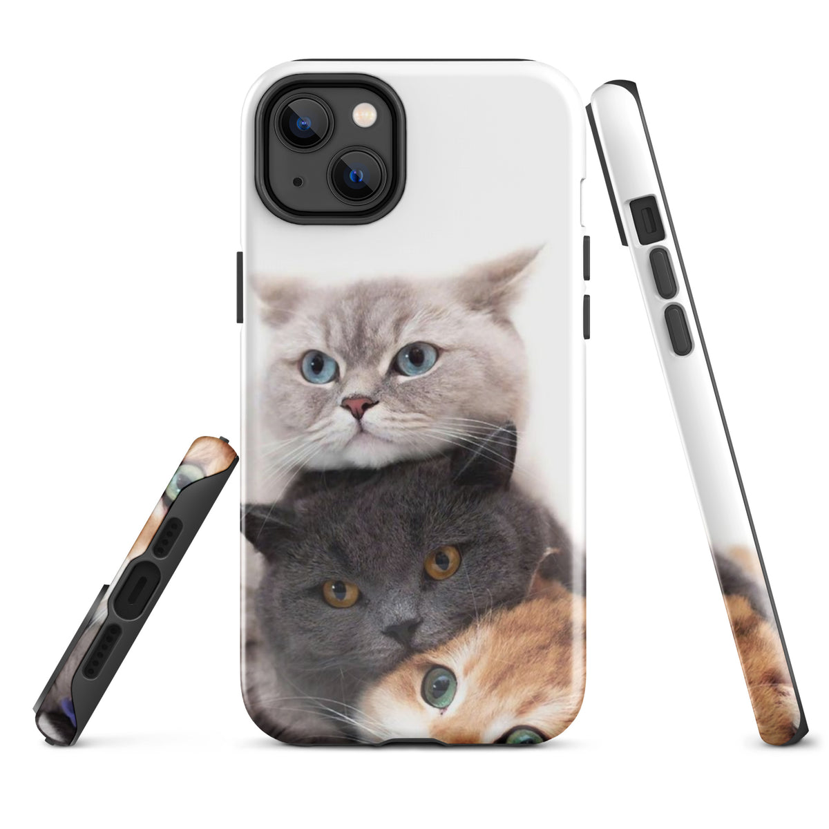 Chats Domestique Coque - Shodiva