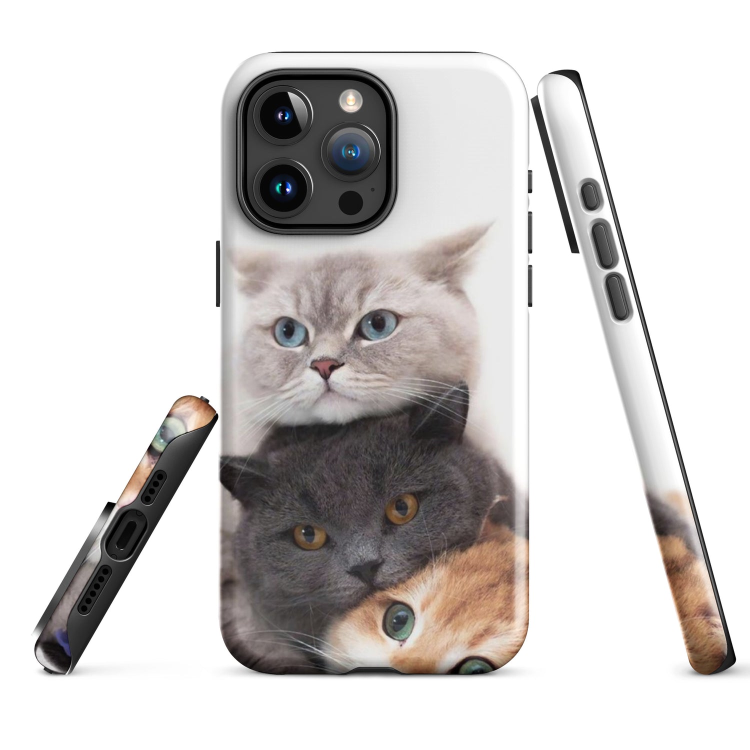 Chats Domestique Coque - Shodiva