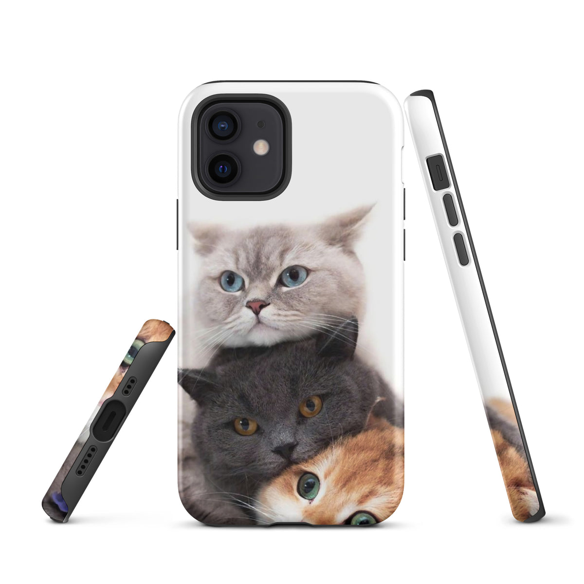 Chats Domestique Coque - Shodiva