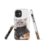 Chats Domestique Coque - Shodiva