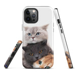 Chats Domestique Coque - Shodiva