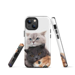 Chats Domestique Coque - Shodiva