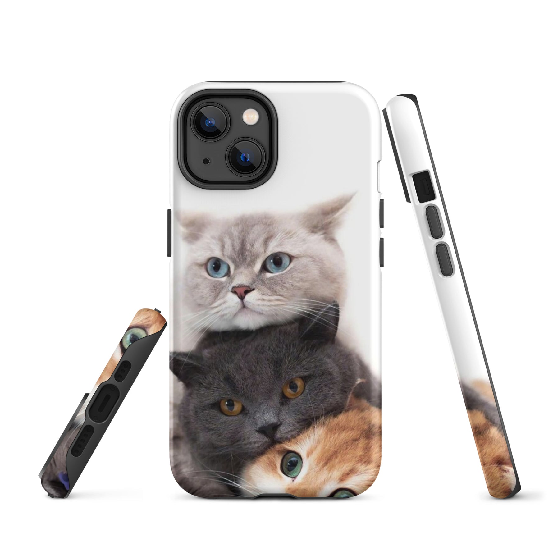 Chats Domestique Coque - Shodiva