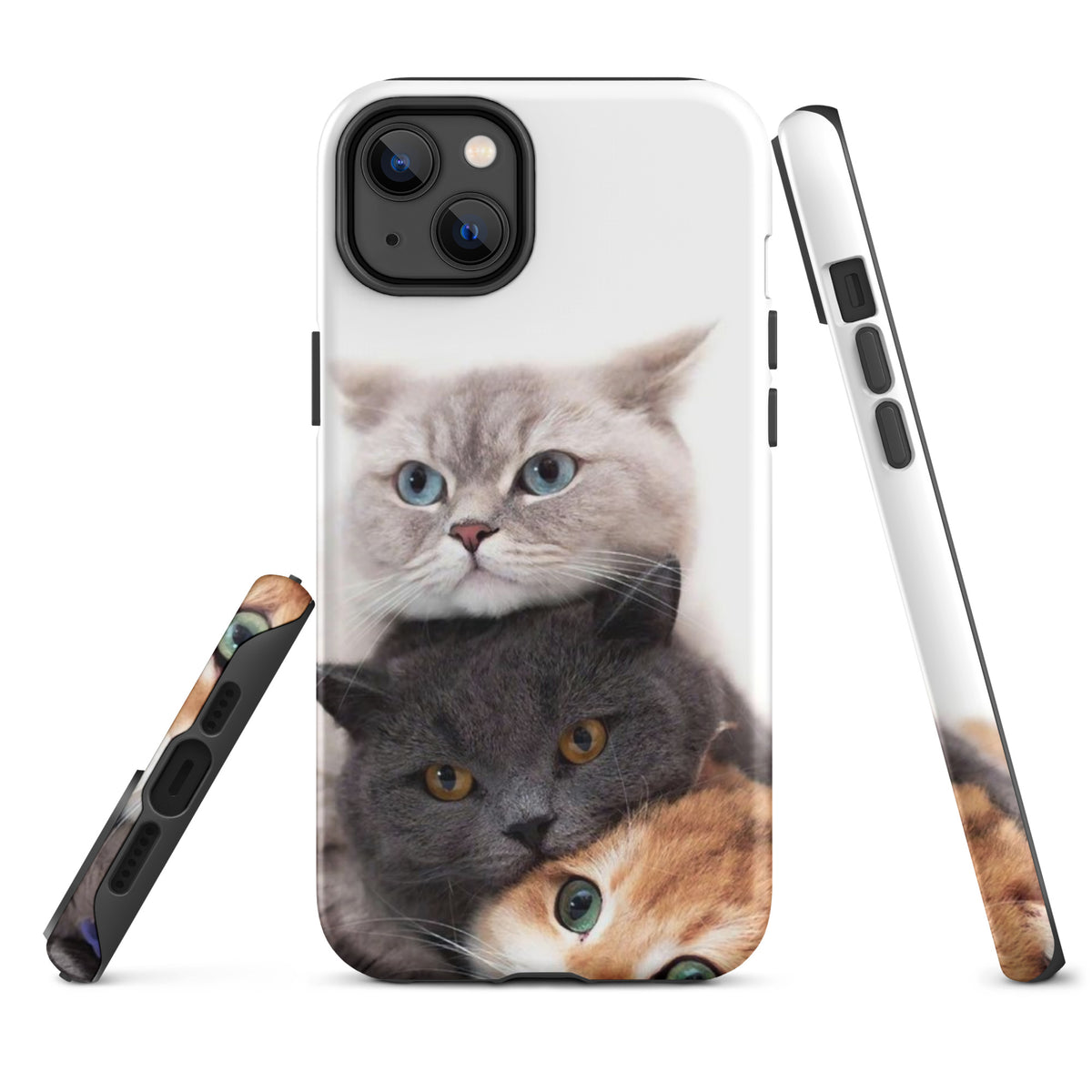 Chats Domestique Coque - Shodiva