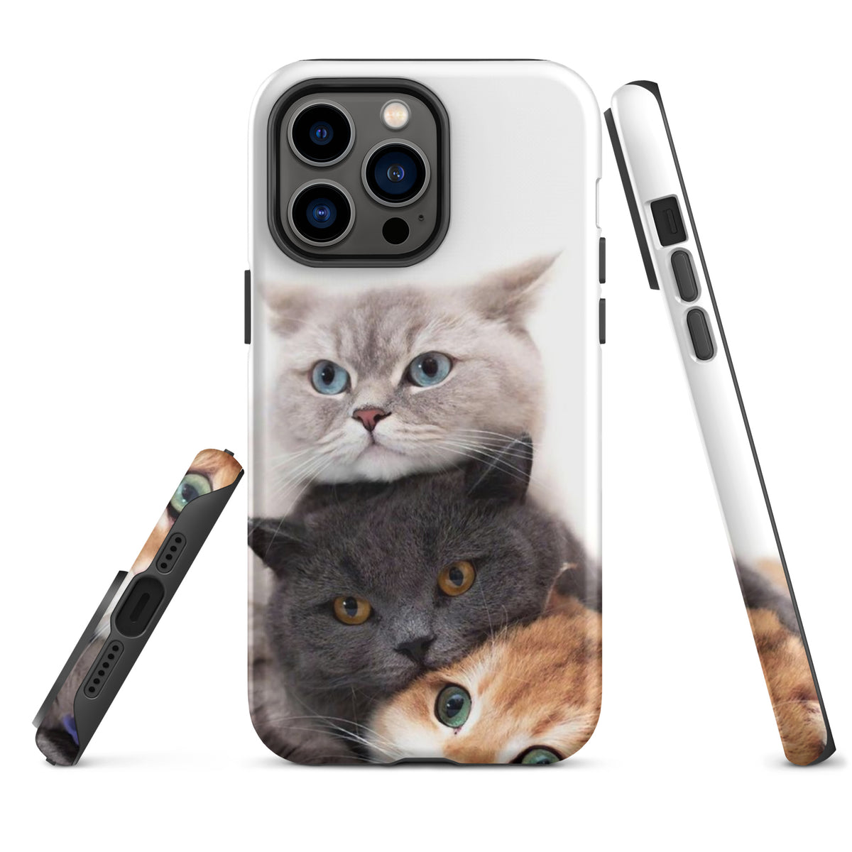 Chats Domestique Coque - Shodiva