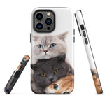 Chats Domestique Coque - Shodiva