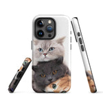 Chats Domestique Coque - Shodiva