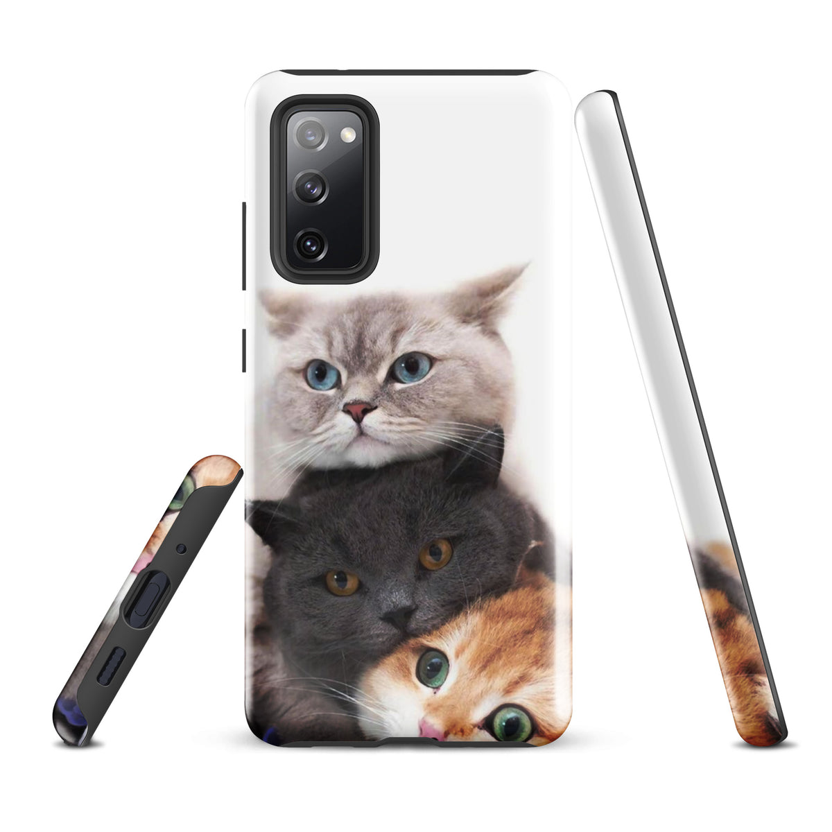 Chats Domestique Coque - Shodiva