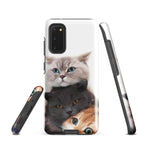 Chats Domestique Coque - Shodiva