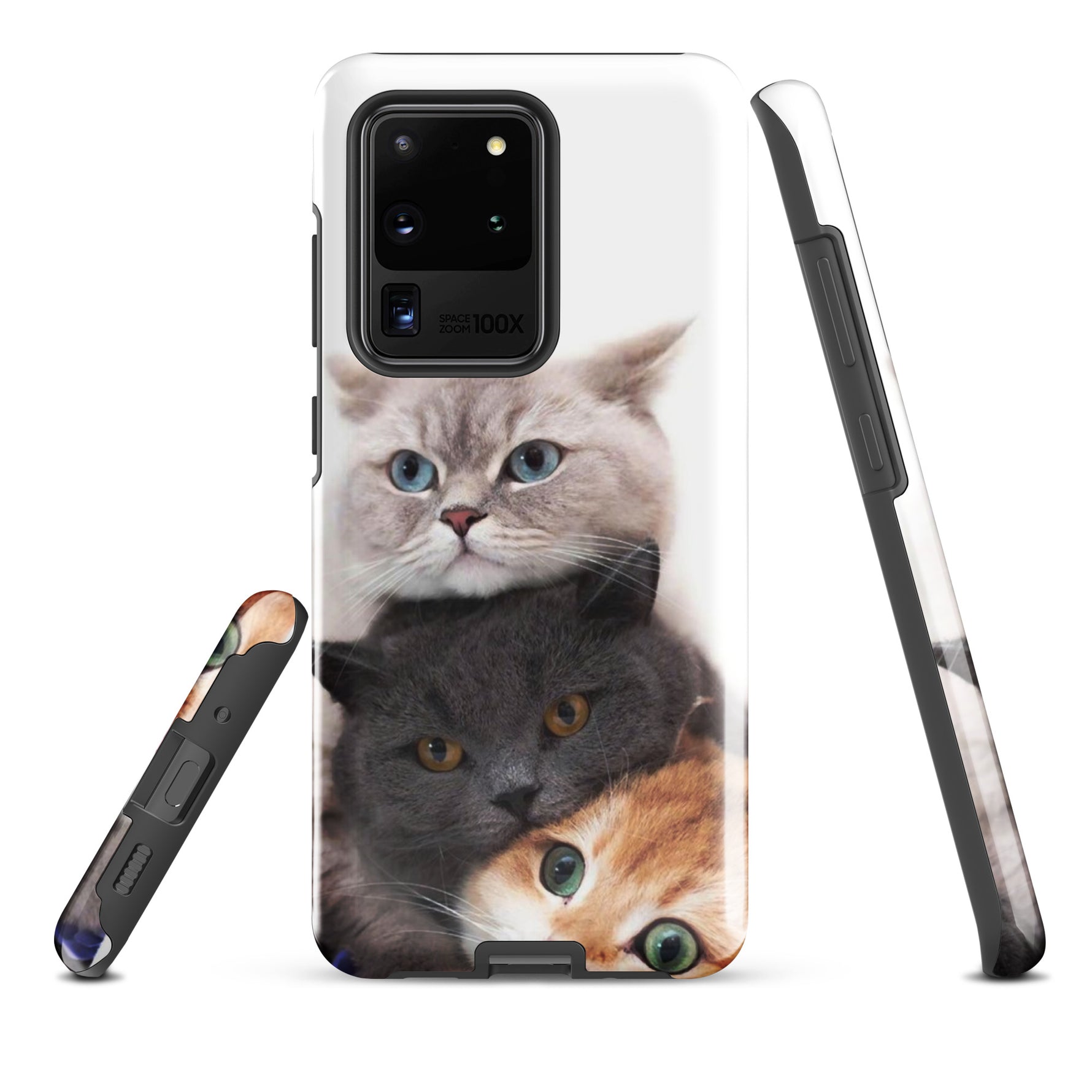 Chats Domestique Coque - Shodiva