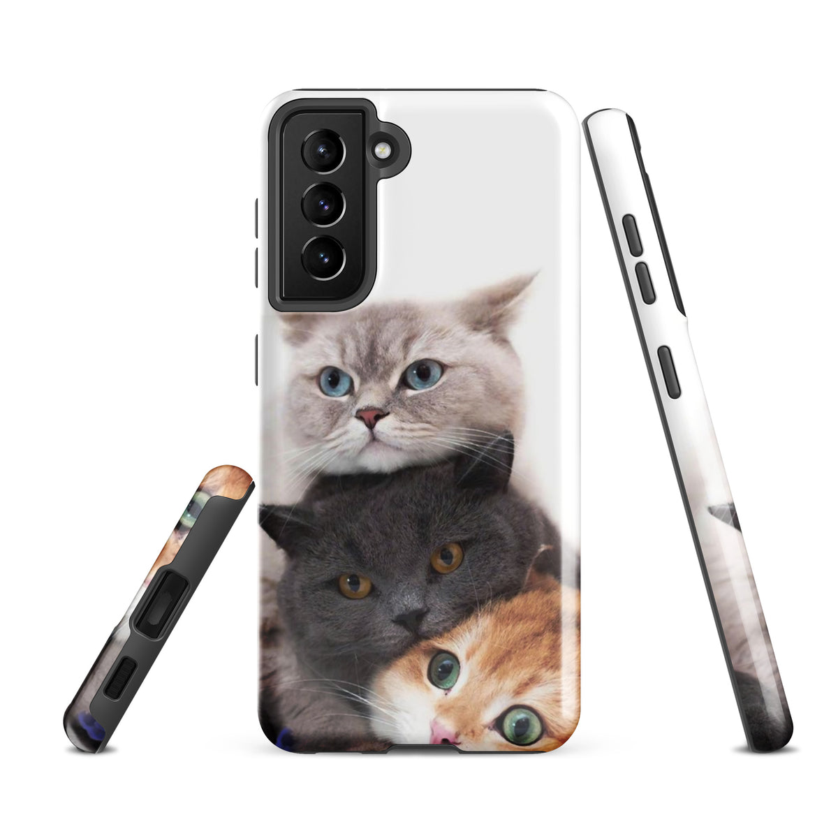 Chats Domestique Coque - Shodiva