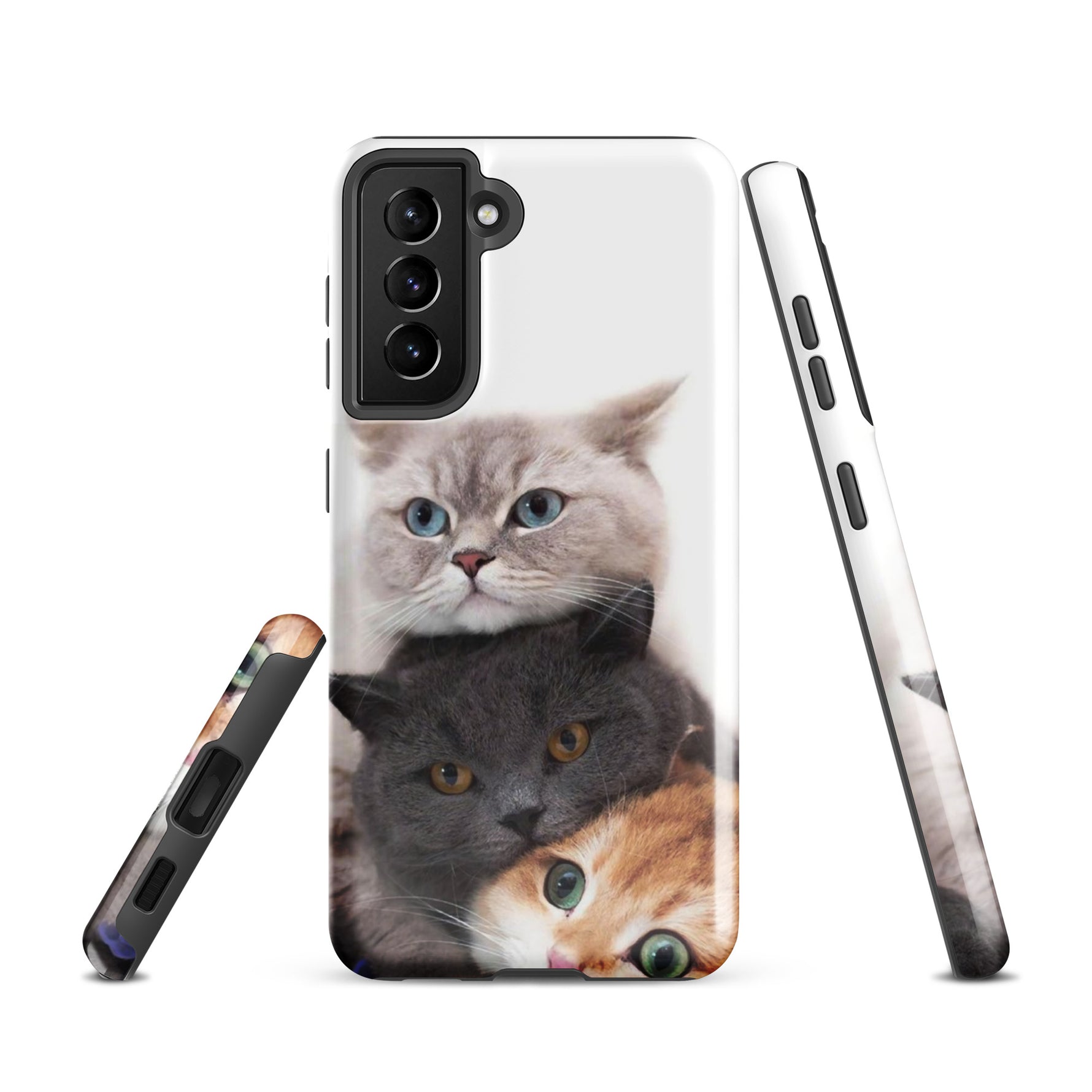 Chats Domestique Coque - Shodiva