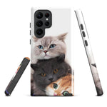 Chats Domestique Coque - Shodiva