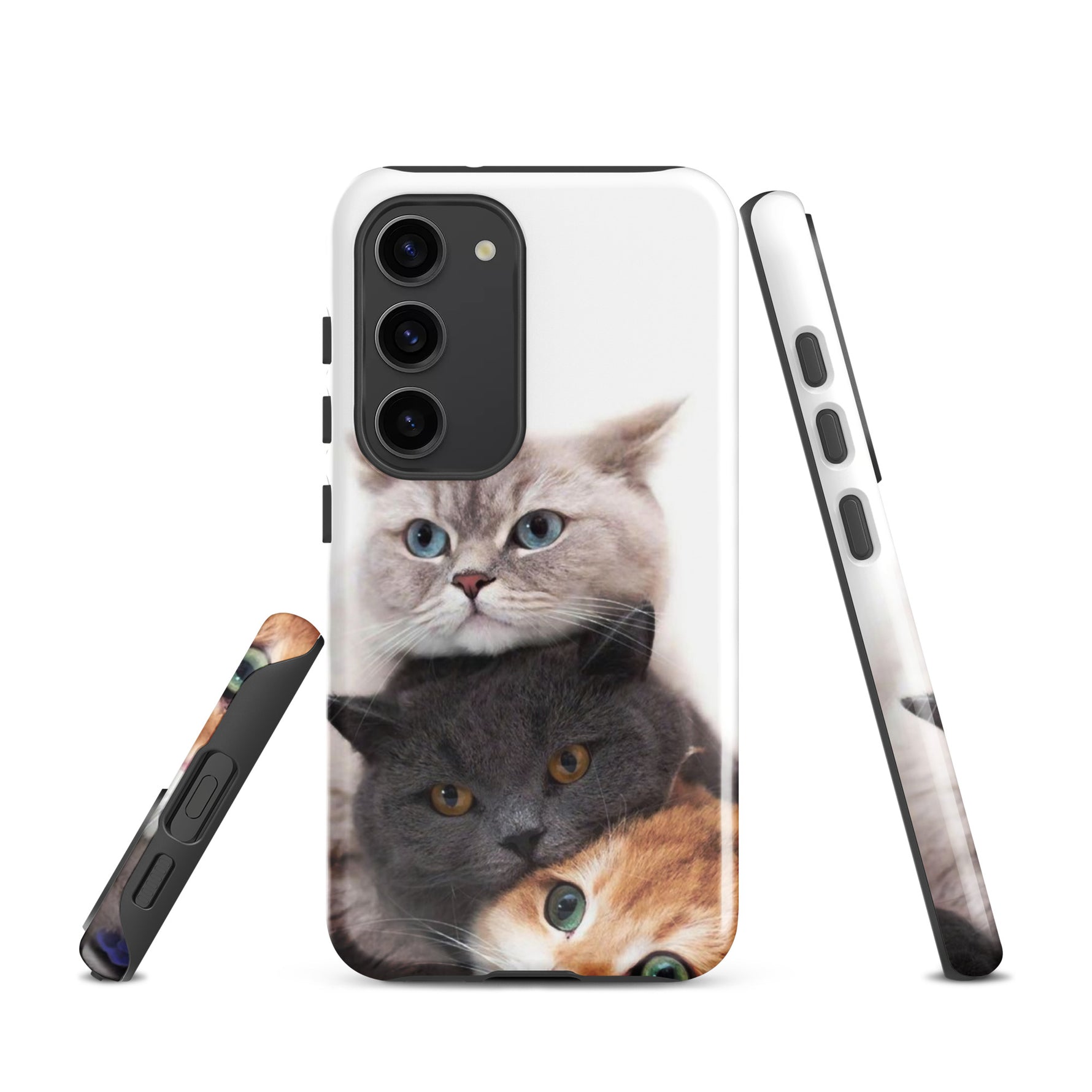 Chats Domestique Coque - Shodiva