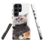 Chats Domestique Coque - Shodiva