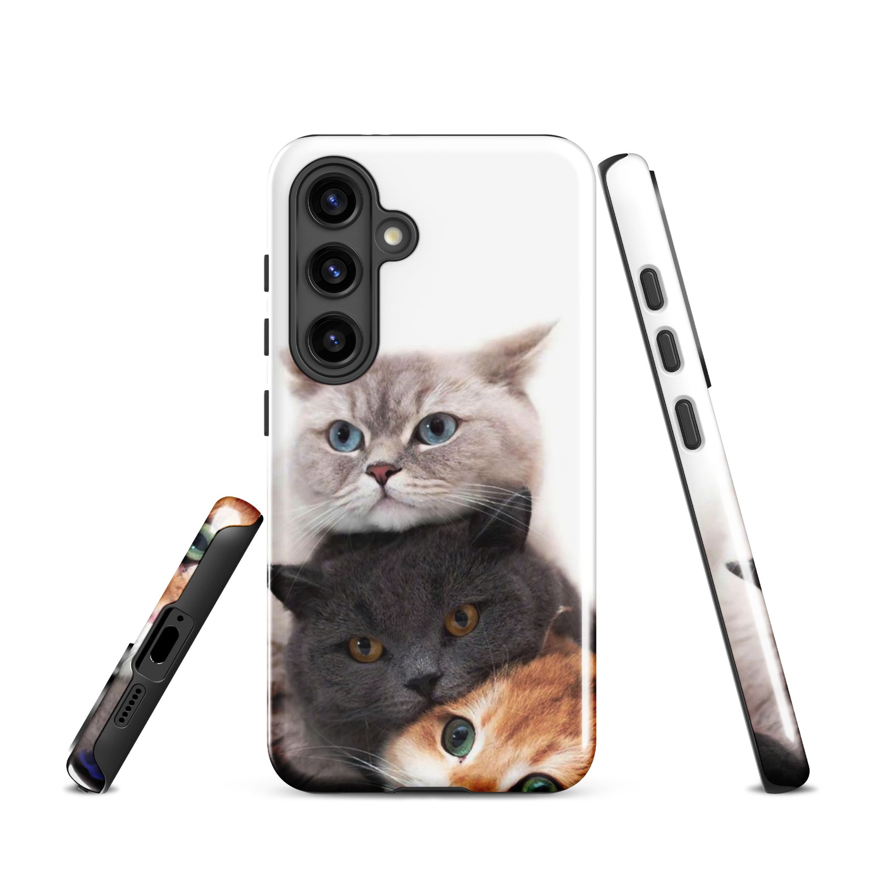 Chats Domestique Coque - Shodiva