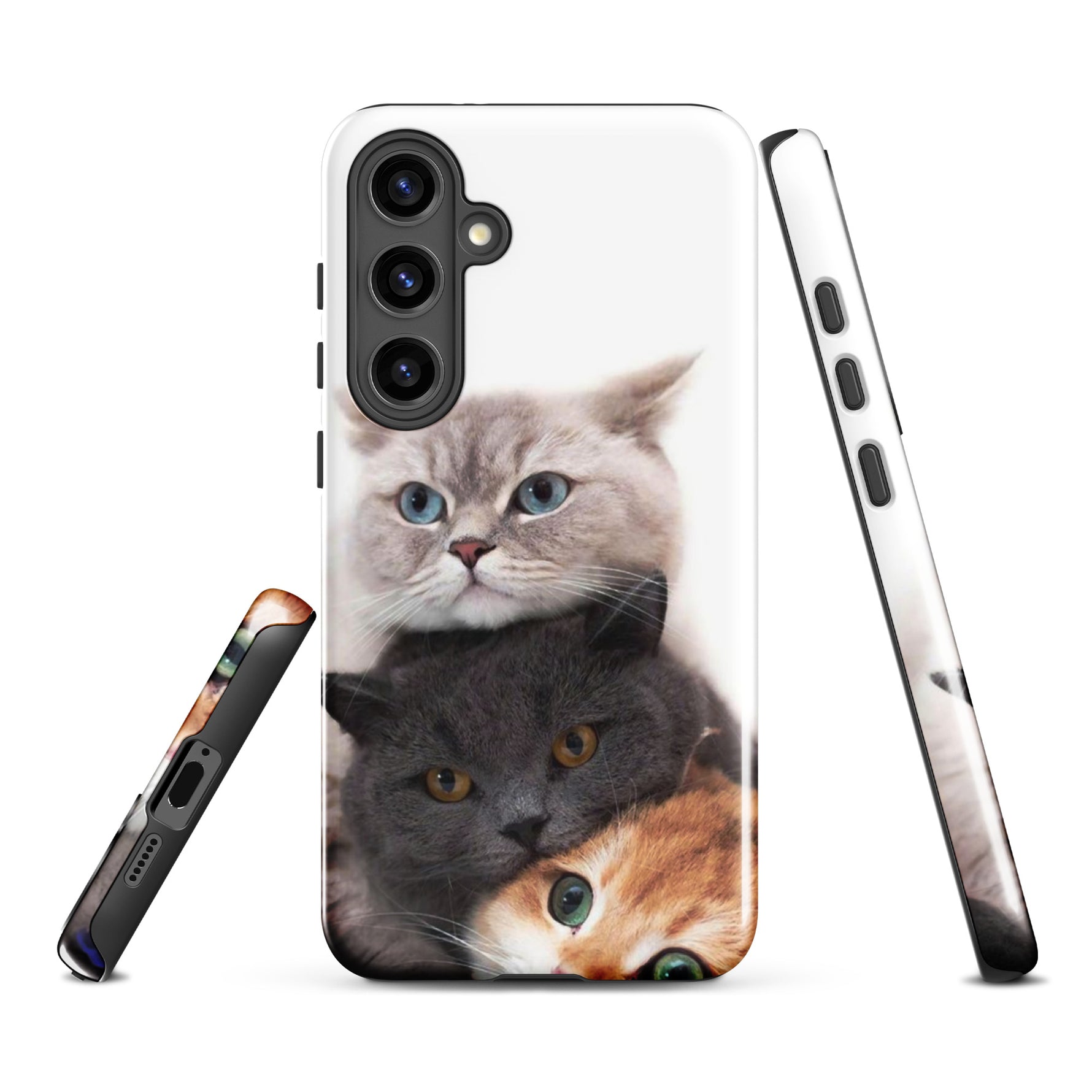 Chats Domestique Coque - Shodiva