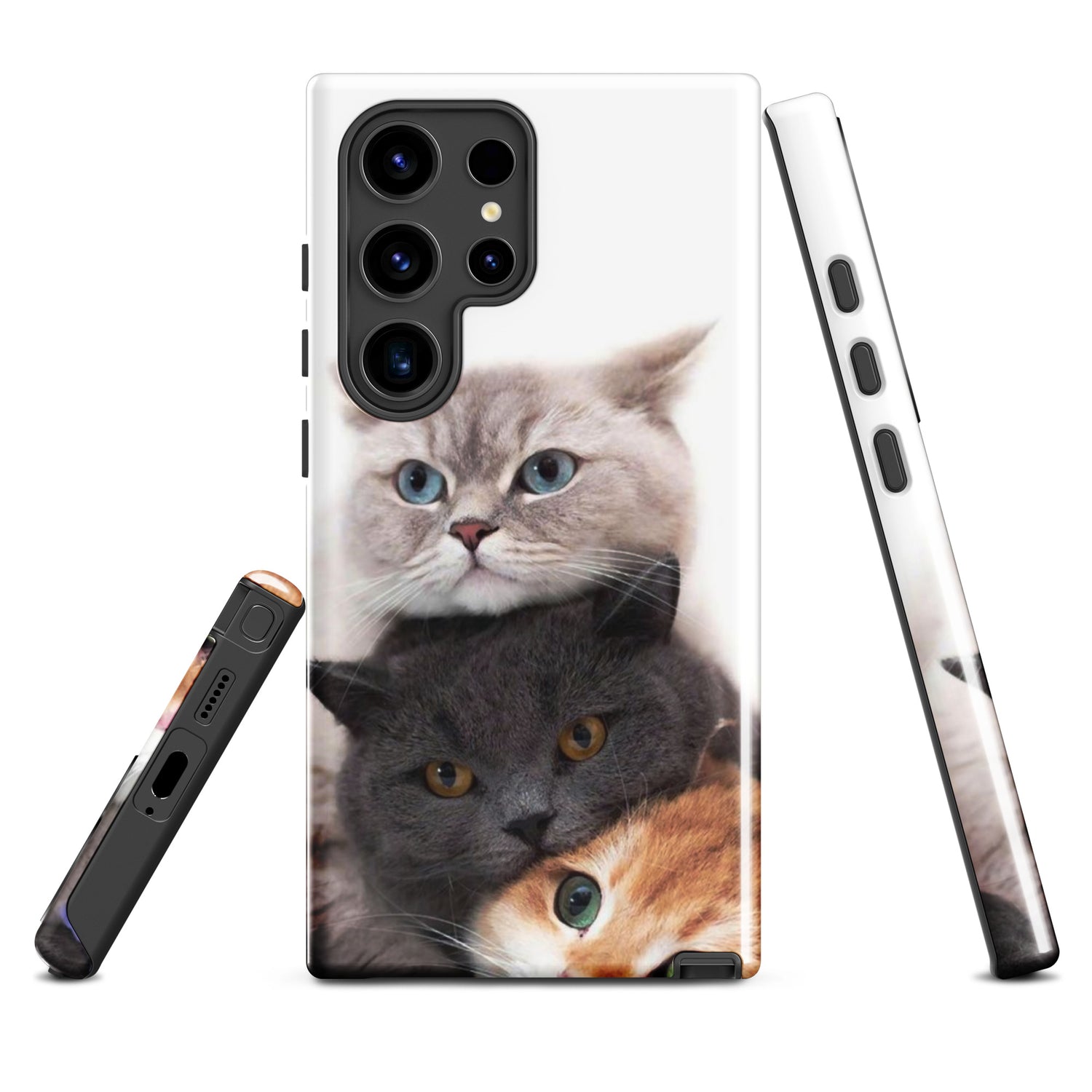 Chats Domestique Coque - Shodiva