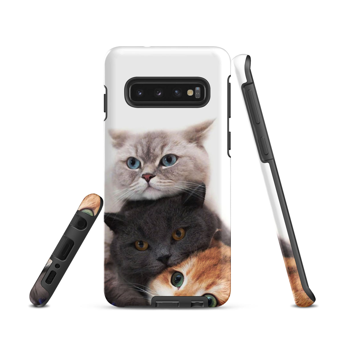 Chats Domestique Coque - Shodiva