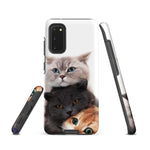 Chats Domestique Coque - Shodiva