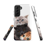 Chats Domestique Coque - Shodiva