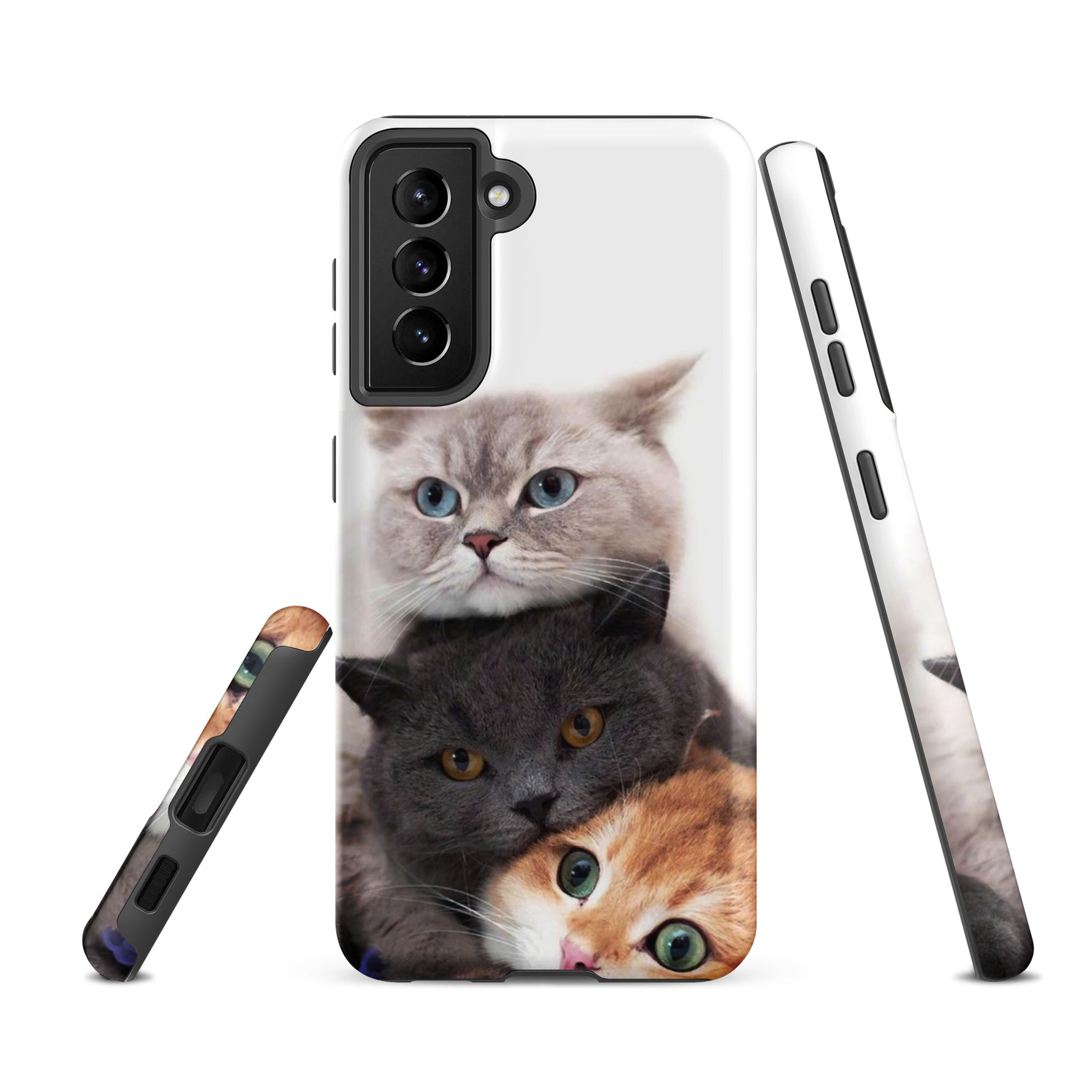 Chats Domestique Coque - Shodiva