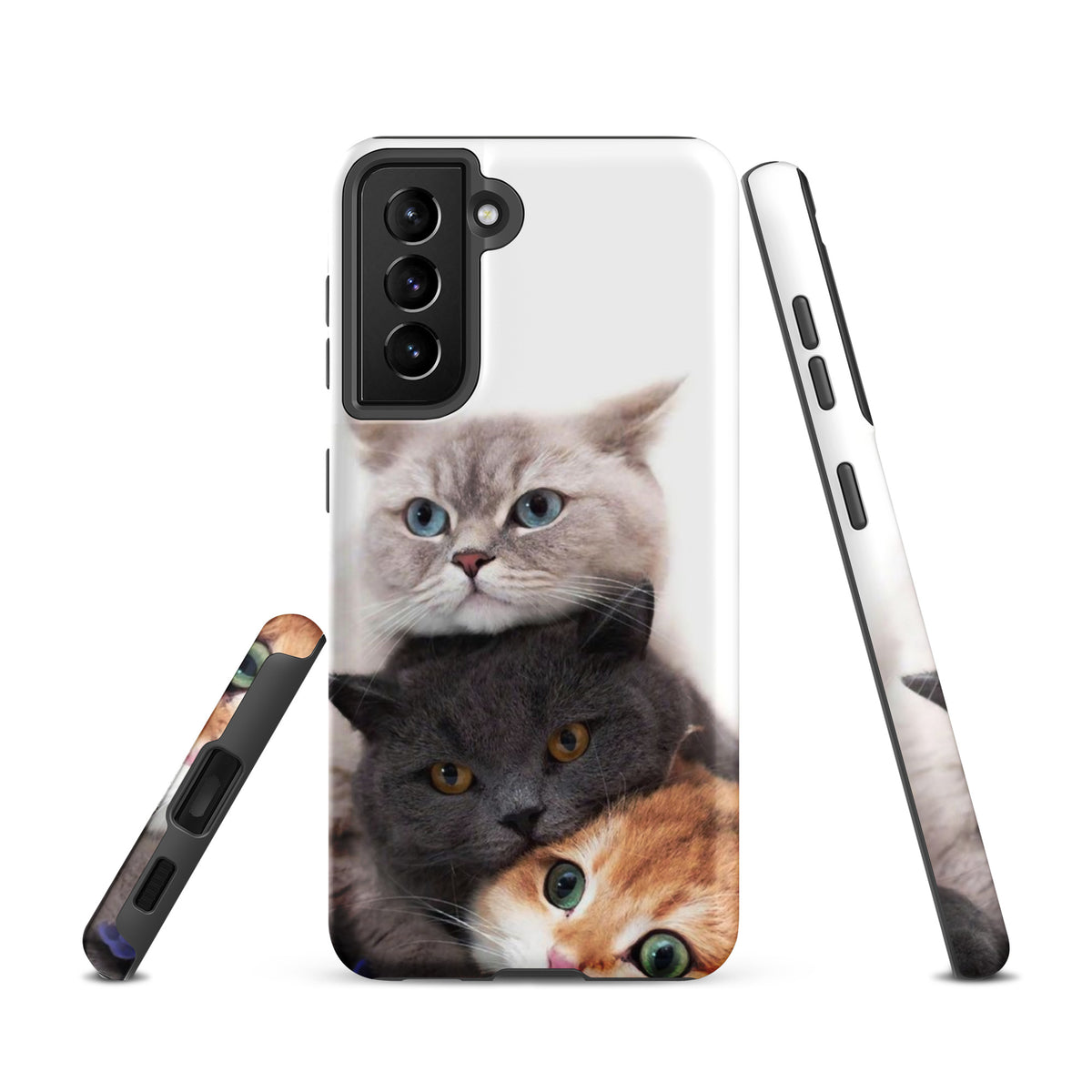 Chats Domestique Coque - Shodiva