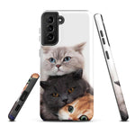 Chats Domestique Coque - Shodiva