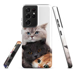 Chats Domestique Coque - Shodiva