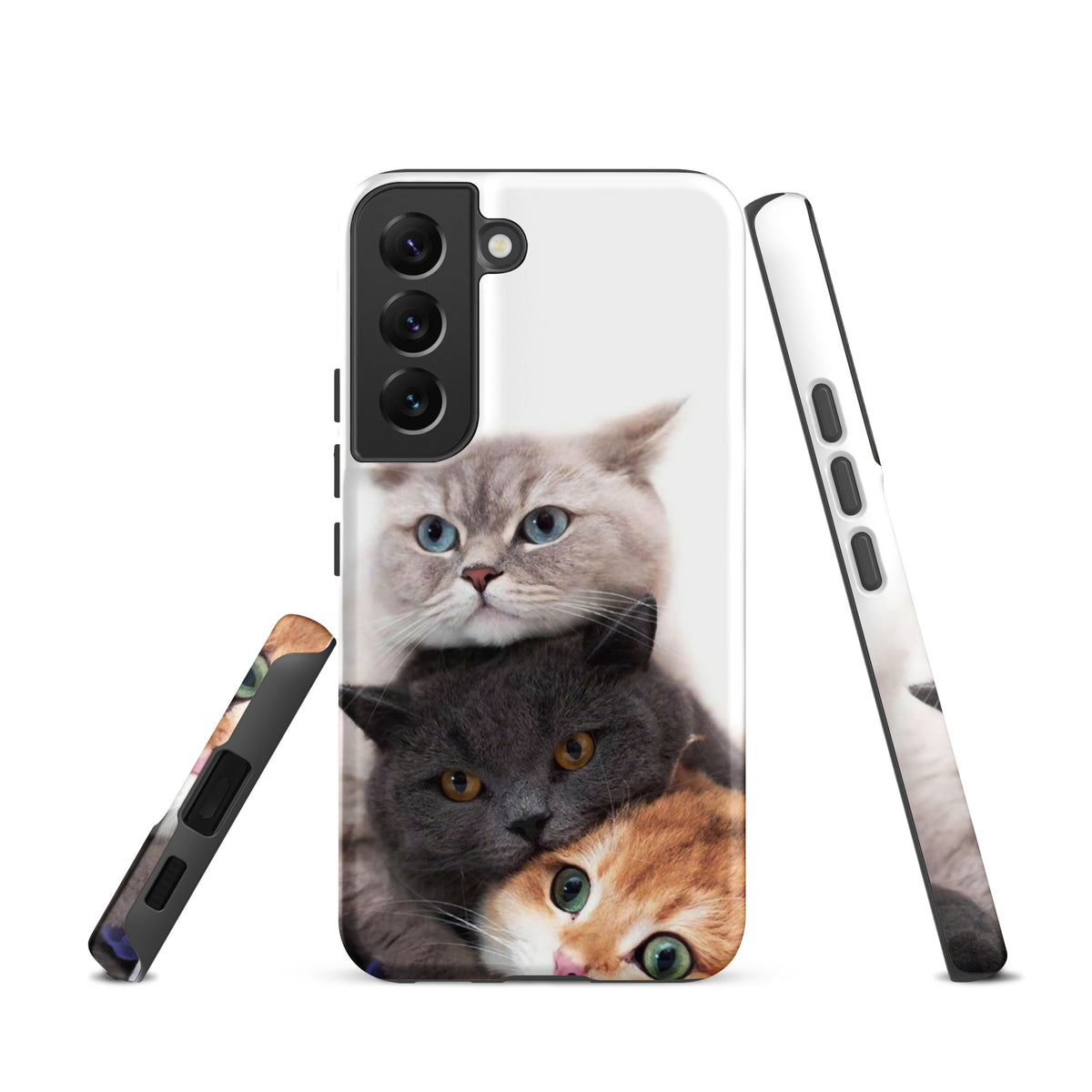 Chats Domestique Coque - Shodiva