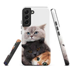 Chats Domestique Coque - Shodiva