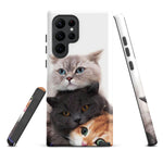 Chats Domestique Coque - Shodiva