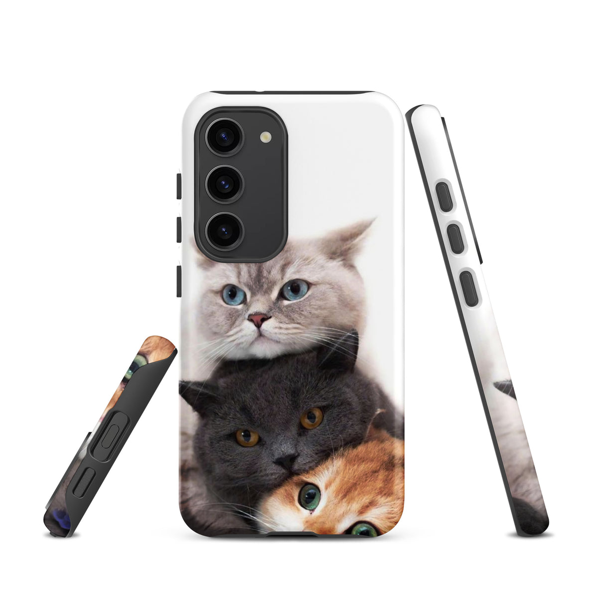 Chats Domestique Coque - Shodiva