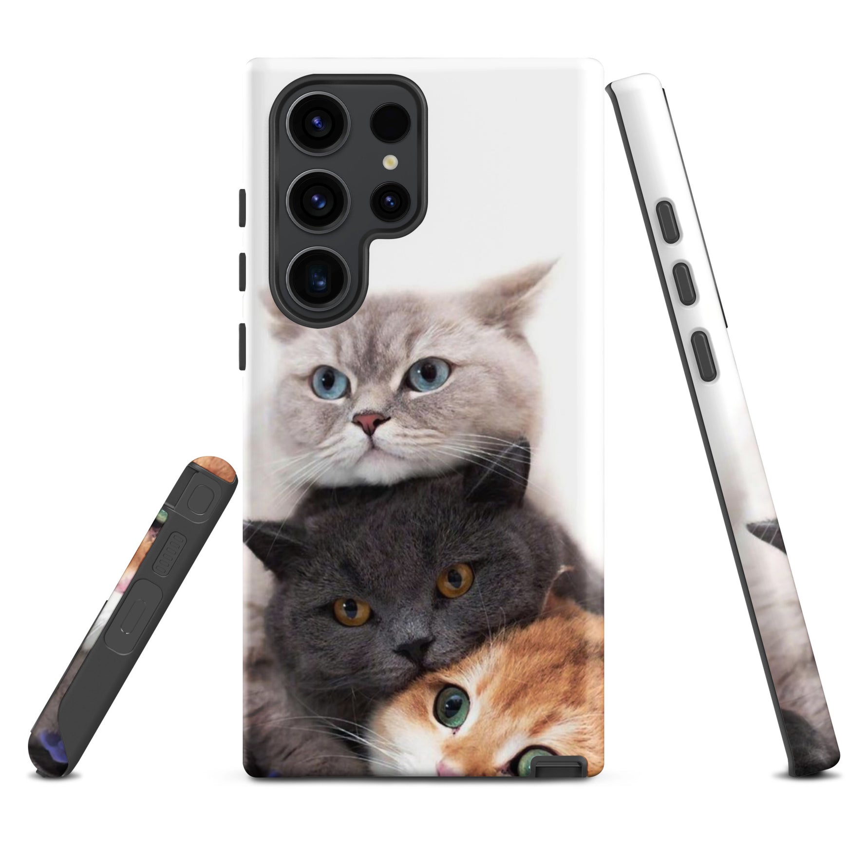 Chats Domestique Coque - Shodiva